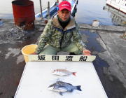 黒島の筏　ヤエン釣りでコウイカ