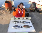 黒島の磯　フカセでチヌ・ウマヅラハギ