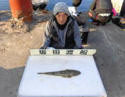 黒島の筏　のませでマゴチ52cm