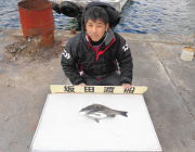 黒島の磯でオキアミフカセ　チヌ44cm