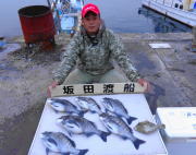 黒島の筏　オキアミ・ボケで良型チヌを6枚