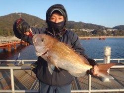 須磨海釣り公園　ウキ流し釣りでマダイ69cm