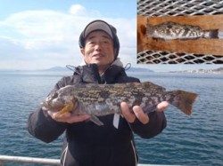 須磨海づり公園にてポン級アイナメ39cm！