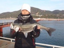 須磨海づり公園　シラサエビで良型ハネをキャッチ