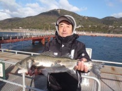 須磨海づり公園にてハネの釣果