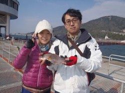 神戸市立須磨海づり公園 落とし込みでウミタナゴ