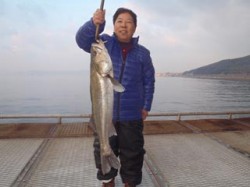 神戸市立須磨海づり公園 シラサエビでスズキ…