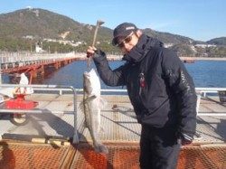 神戸市立須磨海づり公園 シラサでスズキ72cm
