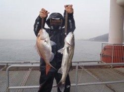 須磨海づり公園 雨の中スズキ70cm&マダイ53cm