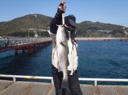 神戸市立須磨海づり公園 スズキサイズをキャッチ！