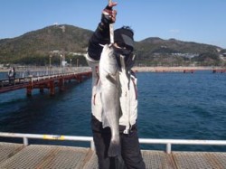 神戸市立須磨海づり公園 スズキサイズをキャ…