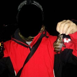 わずかな時間のメバリング