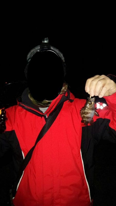 わずかな時間のメバリング