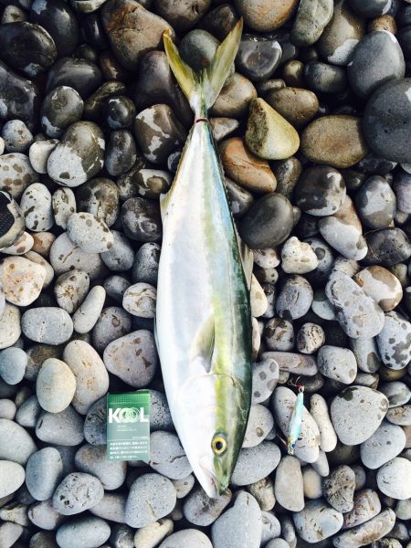 煙樹ヶ浜でショアジギング