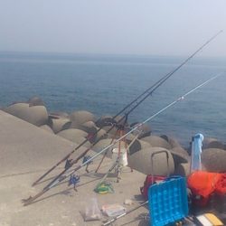 でたぞポン！　ずっしり重いアイナメちゃん♪