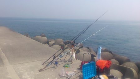 でたぞポン！　ずっしり重いアイナメちゃん♪