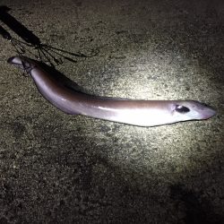 激寒の中・・・