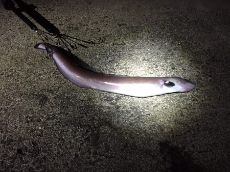 激寒の中・・・