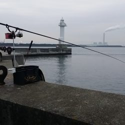 今週も夢洲スリットでフカセ釣り…♪