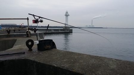 今週も夢洲スリットでフカセ釣り…♪