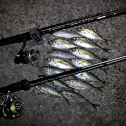 5日連続でライトゲーム