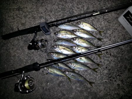 5日連続でライトゲーム