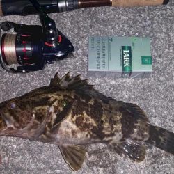 大阪南港　ロック調査