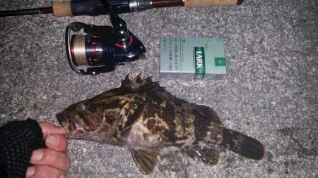 大阪南港　ロック調査