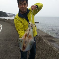 ヤエンではじめてのアオリイカ2㌔UPGET！