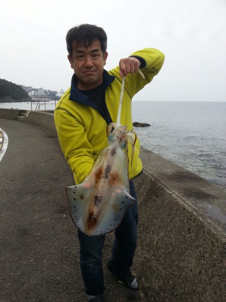 ヤエンではじめてのアオリイカ2㌔UPGET！