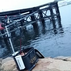 久し振りの釣行