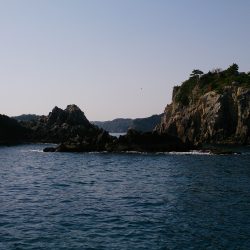 勝浦でフカセ釣り　エサトリ乱舞してました