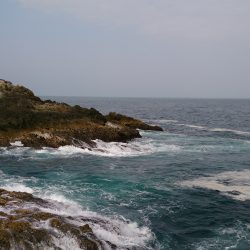 勝浦で、撃沈。寒のグレは終わりですか？