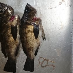 渋い当たりばかりで苦労しました