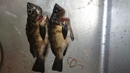 渋い当たりばかりで苦労しました