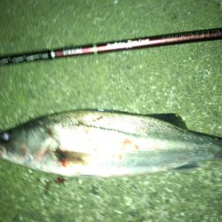 明暗にアップストリームキャスト