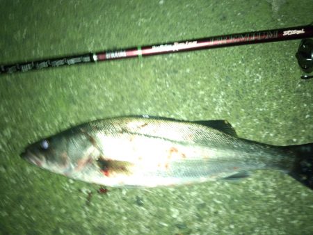 明暗にアップストリームキャスト