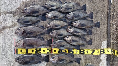 3月8日(日)垂水一文字メバル釣り