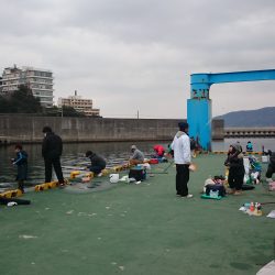 田ノ浦漁港　初心に帰ってサビキ釣り