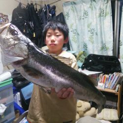 天橋立　久しぶりのランカーシーバス