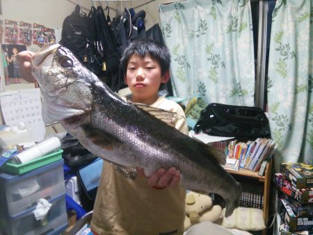 天橋立　久しぶりのランカーシーバス