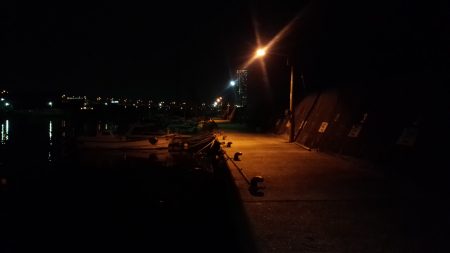 泉佐野　メバリング調査