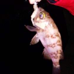 渋く当たり無い