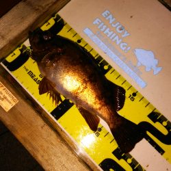 3度目の正直 VS 2度ある事は3度ある!?