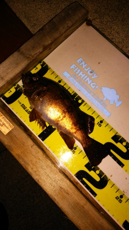 ３度目の正直 ＶＳ ２度ある事は３度ある！…