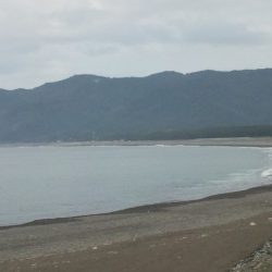 ショアジギング釣行