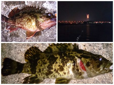 佐野漁港でのメバリングは気配なし((+_+…