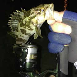 ぼうず逃れの青空市場裏釣行