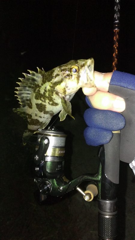ぼうず逃れの青空市場裏釣行