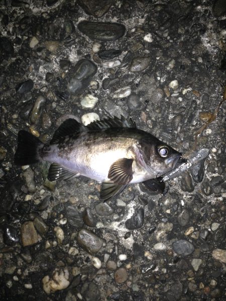 由良でプラッキング【ナイスボディ】